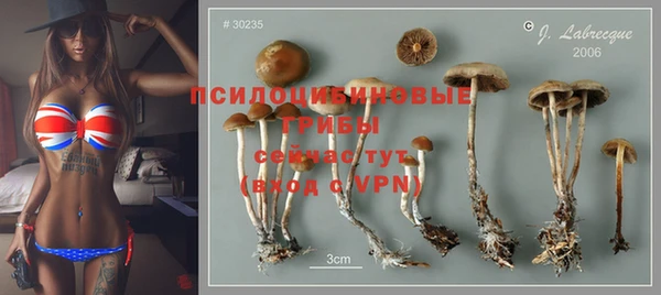 гидропоника Бугульма