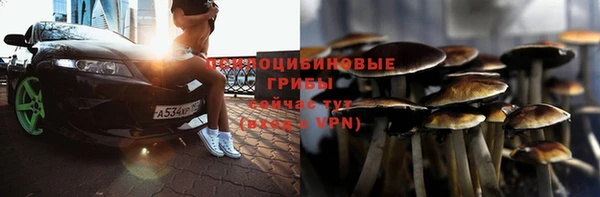 гидропоника Бугульма